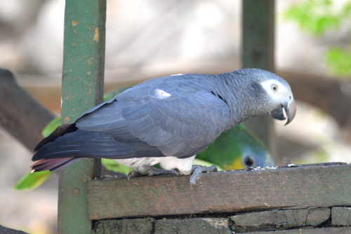 World of Birds Wildlife Sanctuary.